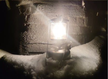 IWALKER L501 Camping Lantern Portable Gasoline Lamp